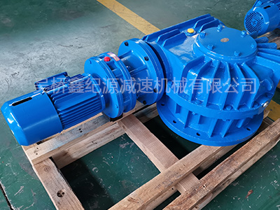 CWS250减速机-非标定制